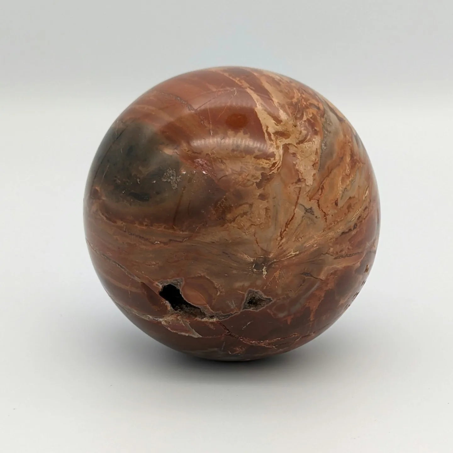 Petrified Wood Orb